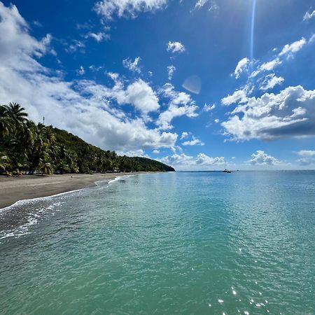 Le Gaspardo , 2 Chambres Climatisees , A 2 Mins A Pied De La Plage , Wifi , Jardin Clos, Parking ,Sans Vis-A-Vis Le Carbet Ngoại thất bức ảnh